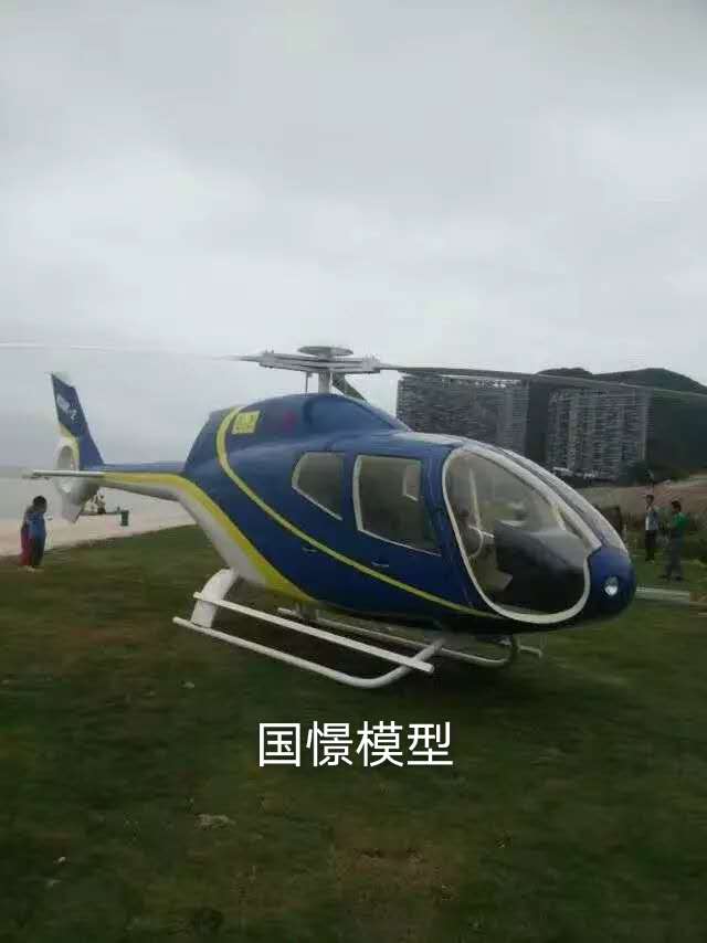 巴彦县飞机模型